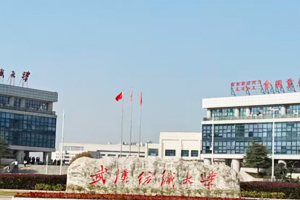 武漢紡織大學(xué)實(shí)驗(yàn)室超純水機(jī)